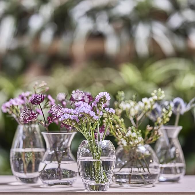 CHIVE ‘George’ Glass Bottle Flower Vases — Set of 6 — Small, Elegant Clear Glass Bud Vases — Bulk Pack for Home Decor & Table Centerpieces — Shape 5 (Oval, 5” Tall, 2.5” Wide)