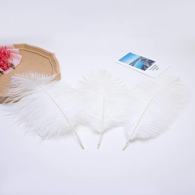 24pcs Natural White Ostrich Feathers 10-12inch (25-30cm) for Wedding Party Centerpieces,Flower Arrangement and Home Decoration.