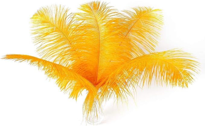 12pcs Natural Luxury Gold Ostrich Feathers 12-14inch (30-35cm) for Wedding Party Centerpieces,Flower Arrangement and Home Decoration.
