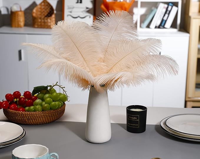 Ballinger Light Salmon Ostrich Feathers - 24pcs 8-10inch Feathers for Crafts,Wedding Party Centerpieces and Home Decor