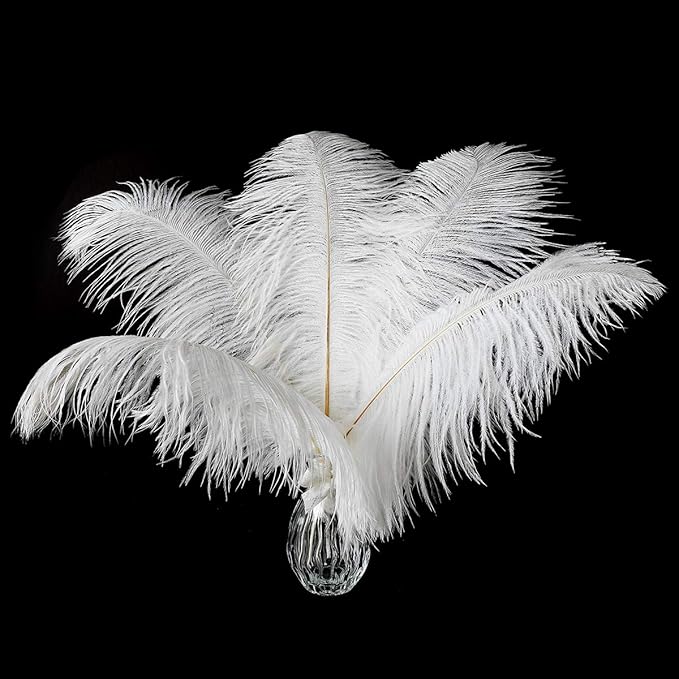 12pcs Natural White Ostrich Feathers 12-14inch (30-35cm) for Wedding Party Centerpieces,Flower Arrangement and Home Decoration.