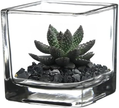 WGV 2 Inch Tea Light Votive Candle Holder, Clear, Square Cube 2”x2”, Small Tiny, Home Décor, Table Top, 1 Pc