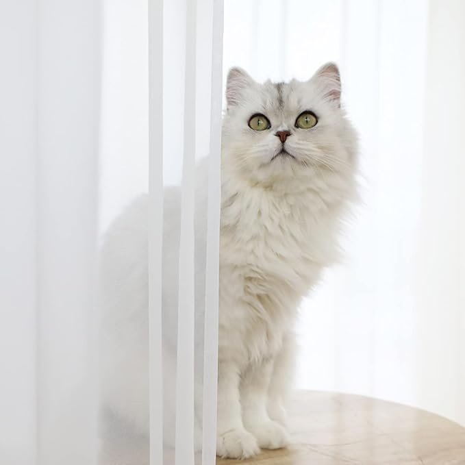 Window White Sheer Curtains 60 Inches Width 84 Inches Long 2 Panels Sheer Curtains Clear Curtains Basic Rod Pocket Panel for Home/Living Room/Bedroom/Kids Room