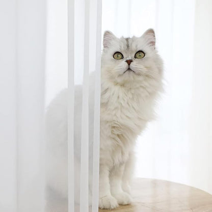Window White Sheer Curtains 120 Inches Long 2 Panels Sheer White Curtains Basic Rod Pocket Panel for Bedroom Children Living Room Yard Kitchen