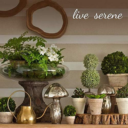 Serene Spaces Living Silver Ribbed Pedestal Glass Votive Holder, Table Centerpiece, Home, Office, Wedding, Birthday, Holiday & Special Events Decor, 3.5" Diameter & 5" Tall, Pack of 24