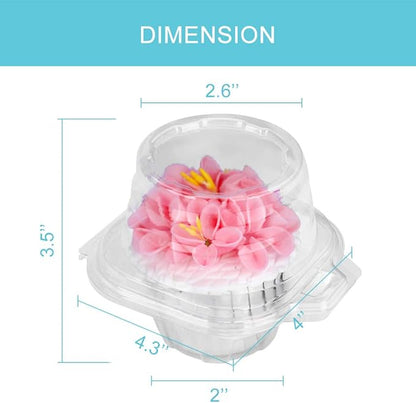 100 Pcs Cupcake Boxes Plastic Individual Cupcake Containers Single Cupcake Carrier with Connected Airtight Dome Lid for Party