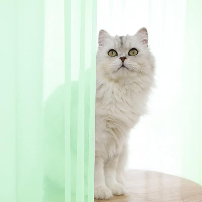 Window Light Green Sheer Curtains 48 Inches Width 120 Inches Long 2 Panels Sheer Curtain Clear Curtains Basic Rod Pocket Panel for Home Living Room Bedroom Kids Room Yard Patio Parlor Sliding