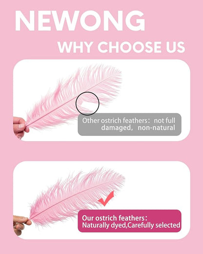 NEWONG 30pcs Light Pink Ostrich Feathers Natural Bulk 8-10inch（20-25cm) Vase Craft Wedding Home Party Centerpieces Christmas Day coquettish Valentine's Day Decoration