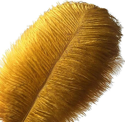 KOLIGHT 40pcs 12''~14''(30~35cm) Natural Ostrich Feathers for DIY Home Wedding Party Office Decoration (Gold)