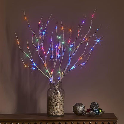 Hairui Lighted Birch Branches Battery Operated 70L 18IN Warm White and Multi Color Fairy Lights 8 Function for Halloween Home Christmas Decor
