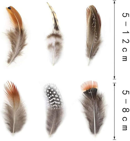 360pcs 12 Styled Natural Feathers Assorted Mixed Feathers for Jewelry and Dream Catcher Crafts