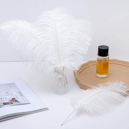 24pcs Natural White Ostrich Feathers 10-12inch (25-30cm) for Wedding Party Centerpieces，Flower Arrangement and Home Decoration.