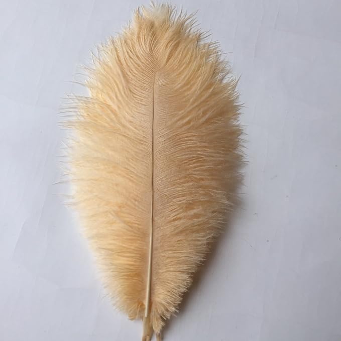Sowder 10-12inch(25-30cm) Ostrich Feathers Plume for Wedding Centerpieces Home Decoration Pack of 10pcs(Champagne)