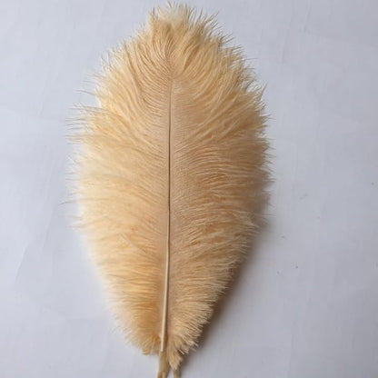 Sowder 8-10inch(20-25cm) Ostrich Feathers Plume for Wedding Centerpieces Home Decoration Pack of 10pcs(Champagne)