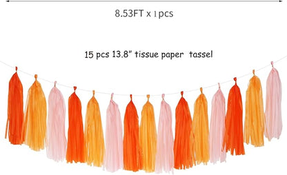 Pink-Orange Groovy Party-Decorations Tassel-Garland - 15pcs Fall Autumn Thanksgiving Harvest Tassels, Birthday Baby Bridal Shower Engagement Wedding Decor Panduola