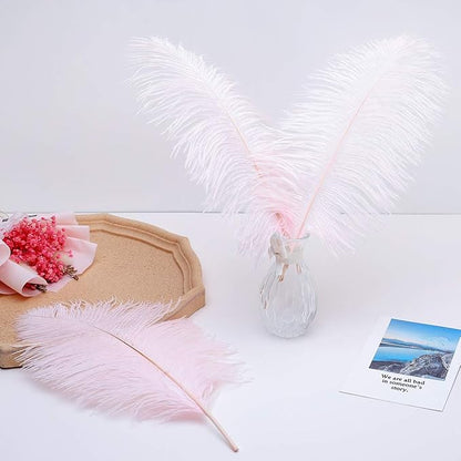 24pcs Natural Light Pink Ostrich Feathers 10-12inch (25-30cm) for Wedding Party Centerpieces，Flower Arrangement and Home Decoration.