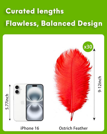 NEWONG 30pcs Red Ostrich Feathers Natural Bulk 9-12inch(23-30cm) Vase Craft Wedding Home Party Centerpieces Christmas Day Decoration