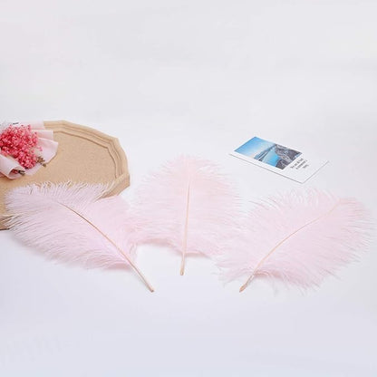 24pcs Natural Light Pink Ostrich Feathers 10-12inch (25-30cm) for Wedding Party Centerpieces，Flower Arrangement and Home Decoration.