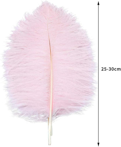 24pcs Natural Light Pink Ostrich Feathers 10-12inch (25-30cm) for Wedding Party Centerpieces，Flower Arrangement and Home Decoration.