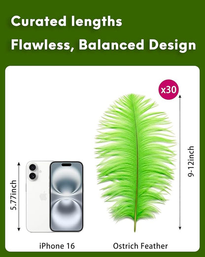 NEWONG 30pcs Fruit Green Ostrich Feathers Natural Bulk 9-12inch(23-30cm) Vase Craft Wedding Home Party Centerpieces Christmas Day Decoration