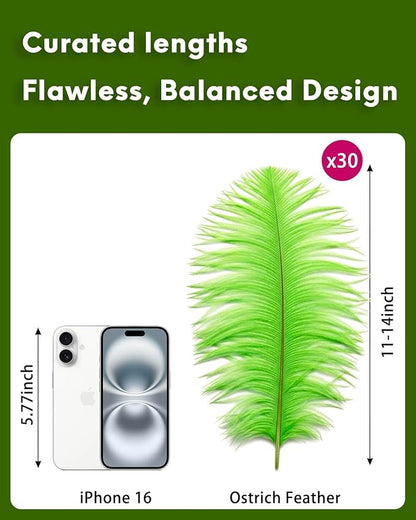 NEWONG 30pcs Fruit Green Ostrich Feathers Natural Bulk 11-14inch(28-35cm) Vase Craft Wedding Home Party Centerpieces Christmas Day Decoration