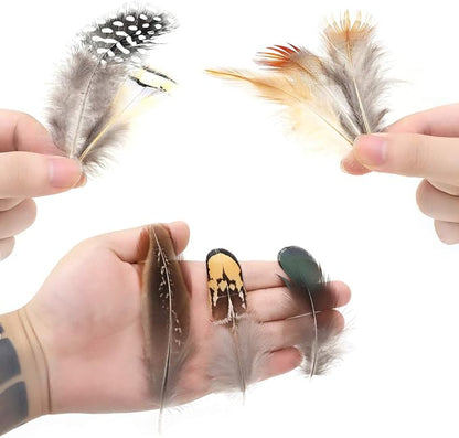Ballinger 240pcs 12 Styled Natural Feathers Assorted Mixed Feathers for Jewelry and Dream Catcher Crafts Decoration