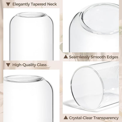 ComSaf Small Flower Vase Set of 12, Glass Bud Vases in Bulk, Clear Vases for Flower, Decor Centerpiece for Bathroom, Decorative Vases for House Warming, Valentines' Day, Mother's Day, Thanksgiving Day
