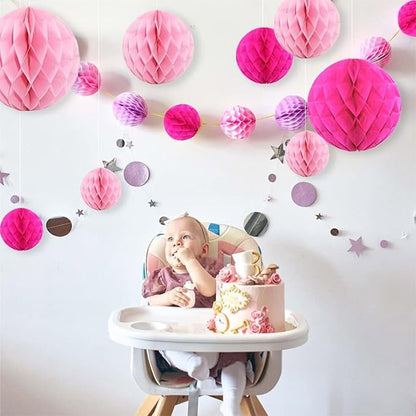 CC wonderland zone 12pcs Pink Paper Honeycomb Balls,Hanging Tissue Pom poms for Party Decoration,6inch&10inch