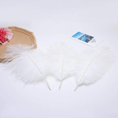 Ballinger Large White Ostrich Feathers - 24Pcs 8-10inch Feathers for Crafts,Party Centerpieces,Wedding and Home Decor