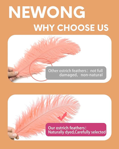 NEWONG 30pcs Rouge Pink Ostrich Feathers Natural Bulk 9-12in（23-30cm） Vase Craft Wedding Home Party Centerpieces Christmas Day Decoration