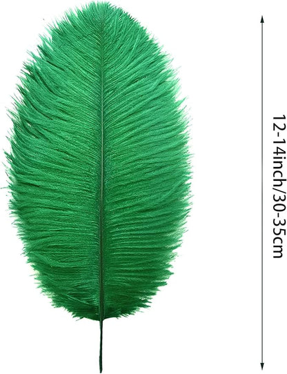 Ballinger Green Large Ostrich Feathers - 12pcs 12-14inch Feathers for Vase, Wedding Party Centerpieces Mardi Gras Decorations and Home Decor(Green)