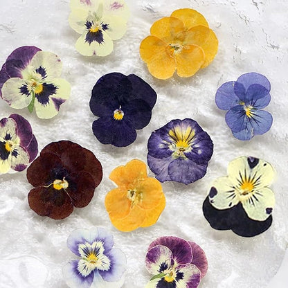 54 Pcs Dried Pressed Flowers for Resin DIY Art Crafts Natural Dry Floral Epoxy Jewelry Real Flower Decor Cakes Phone Cases Candles Handmade Soap Purple Pansy