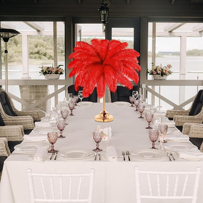 Retrowavy 30 Pcs 18-20 Inch Large Natural Ostrich Feathers Bulk for Centerpieces for Wedding Party Centerpieces Home Decoration Flower Arrangement (Red)