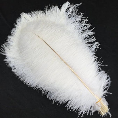 Sowder 16-18inch(40-45cm) Ostrich Feathers Plume for Wedding Centerpieces Home Decoration Pack of 10pcs (White)