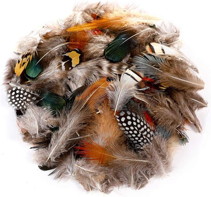 Ballinger 240pcs 12 Styled Natural Feathers Assorted Mixed Feathers for Jewelry and Dream Catcher Crafts Decoration