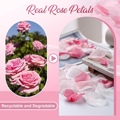 180 PCS Real Pink White Rose Flower Petals Confetti for Wedding to Throw, 1.75oz Freeze Dried Rose Petal for Proposal Centerpieces Romantic Night Decor