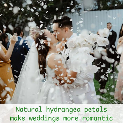 1500Pcs Real Dried Ivory White Hydrangea Flower Petals - Natural smal Petals for Wedding, Party Confetti, Romantic Night, Proposal Decor, Handcrafts (1.06 oz)