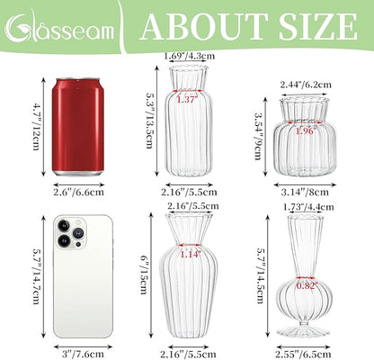 Modern Clear Glass Bud Vase Bulk Set: Glasseam 8Pcs Small Mini Flower Centerpieces Vases Handmade DecorativeCute Short Window Corner Home Decor for Wedding Reception Dining Table Single Rose