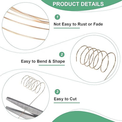 2-Rolls 0.3mm Jewelry Wire, 28 Gauge 328FT Craft Wire Copper Beading Wire for Jewelry Making/Planting/Weaving/DIY Crafting, Soft Metal Wires [100M, Champagne Gold]