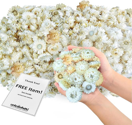 Dried Flower White Straw Daisy Biodegradable Confetti - Real Flower Petals for Weddings, Flower Girl Toss, Wedding Send Off Ideas, Party Table Decoration | Boxed - 8oz (0.5lbs)