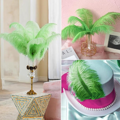 NEWONG 30pcs Fruit Green Ostrich Feathers Natural Bulk 11-14inch(28-35cm) Vase Craft Wedding Home Party Centerpieces Christmas Day Decoration