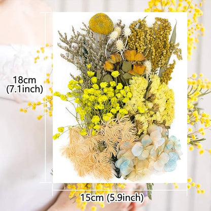 Vignee Real Dried Pressed Leaf Flowers-Multiple Colorful Pressed Flowers Daisies for Craft Resin Jewelry Making Art Craft DIY and Soap Candle Scrapbooking DIY Resin（Yellow）