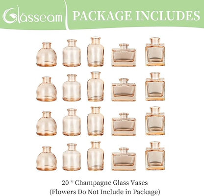 Glasseam Mini Bud Vases for Centerpieces: Clear Small Flower Vase Set of 20 Cute Tiny Glass Table Centerpieces Modern Wedding Birthday Party Baby Shower Dining Room Decoration Champagne