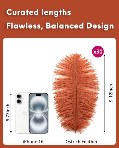 NEWONG 30pcs Brown Ostrich Feathers Natural Bulk 9-12in（23-30cm） Vase Craft Wedding Home Party Centerpieces Christmas Day Decoration