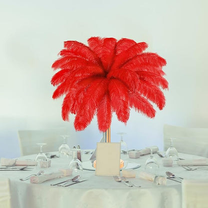 Retrowavy 30 Pcs 18-20 Inch Large Natural Ostrich Feathers Bulk for Centerpieces for Wedding Party Centerpieces Home Decoration Flower Arrangement (Red)