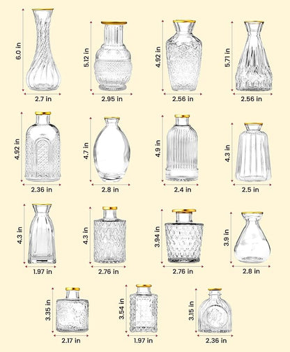 Premium Heirloom Hills Bud Vases for Home Decor, Crystal Clear Glass Flower Vase Set of 30 with Hand-Painted Gold Rims, Small Vases for Centerpieces and Wedding Decorations (Clear, Set of 30)