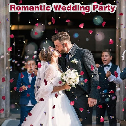 20 Pack Prefilled Confetti Packets,Biodegradable Flower Petals, Real Dried Flower Petals Individual Packing Rose Petals Wedding Send Off Ideas (Red Rose & Lavender & Lvory Jasmine Buds)