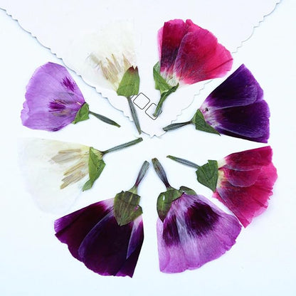 48 Pcs Dried Pressed Flowers for Crafts Art Resin DIY Natural Dry Floral Epoxy Jewelry Real Flower with Leaves Plants Decor Cakes Phone Cases Bookmarks Candles Handmade Soap Farewell