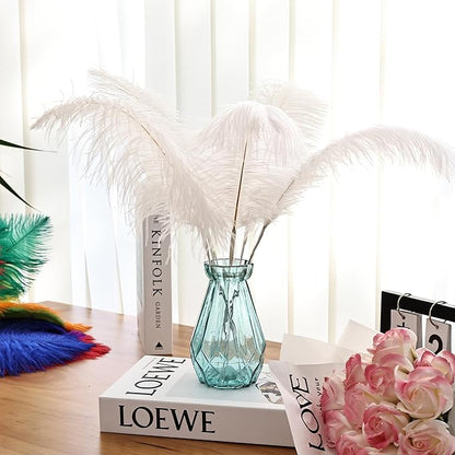 Bulk White Ostrich Feathers - 12pcs 12-14inch Crafting Supplies for Centerpiece Table Decorations