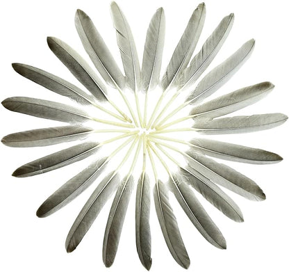 FeelfunFeather 120pcs Natural Gray Goose Cochettes Feathers Bulk 4-6 inches 10-15cm for Wedding Party Christmas Halloween Decorations DIY Crafts